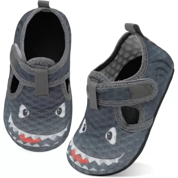 C Greyshark