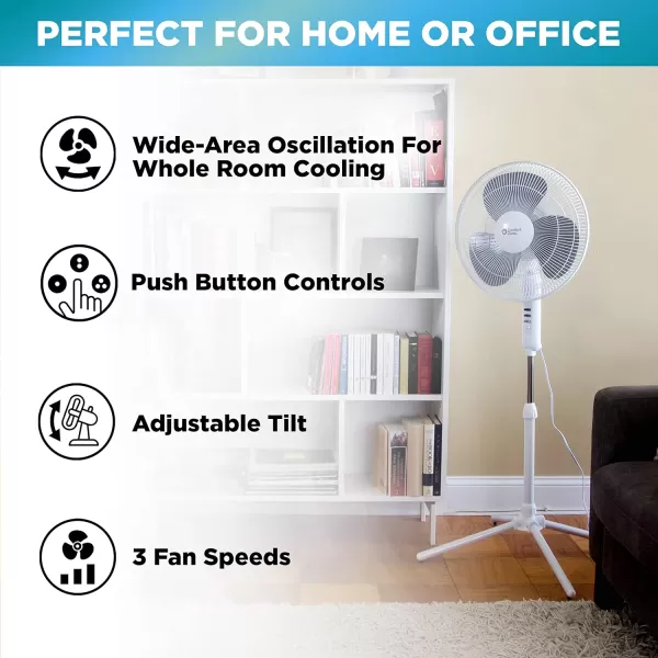 Comfort Zone Electric Oscillating Pedestal Fan, Stand Fan, 16 inch, 3 Speed, 90 Degree Oscillating Head, Adjustable Height and Tilt, Airflow 7.48 ft/sec, Ideal for Home, Bedroom &amp; Office, CZST161BTE