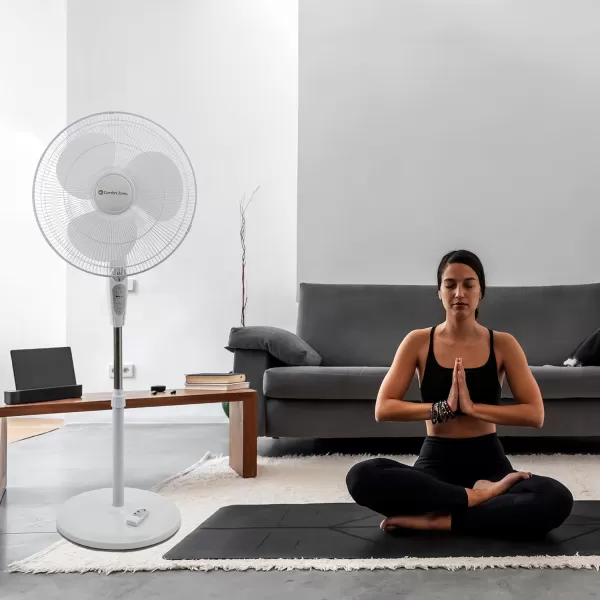 Comfort Zone Oscillating Pedestal Fan with Remote Control, Stand Fan, 18 inch, 3 Speed, Adjustable Height &amp; Tilt, &amp; Timer, Auto Shutoff, Ideal for Home, Bedroom &amp; Office, Airflow 17 ft/sec, CZST181RBK