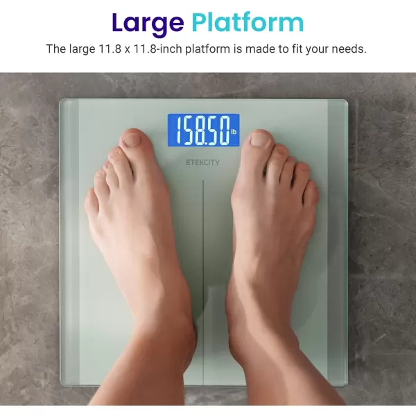 Etekcity Bathroom Scale for Body Weight Digital Weighing Machine for People Accurate ampamp Large LCD Backlight Display 6mm Tempered Glass 400 lbsGreenishwhite