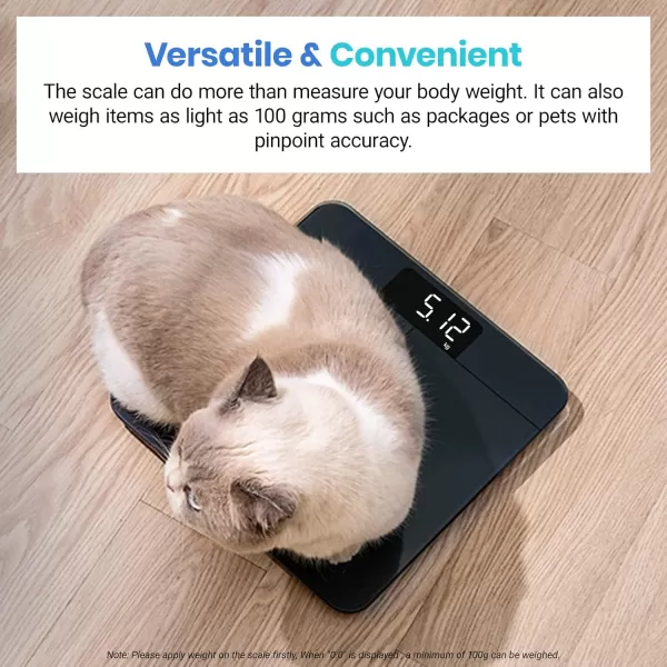 Etekcity Scale for Body Weight Digital Bathroom Scales for People Most Accurate to 005lb Bright LED Display ampamp Large Clear Numbers Upgraded Quality for the Elderly Safe Home Use 400 lbsGreyblue