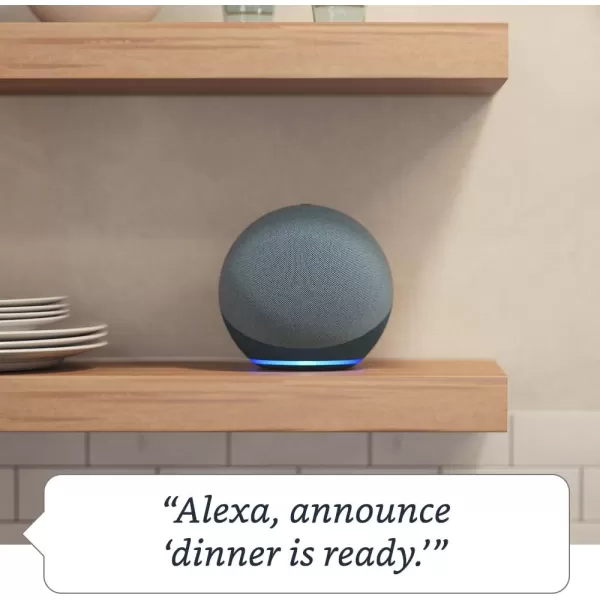 Echo 4th Gen in Charcoal bundle with TPLink Kasa Smart Color Bulb
