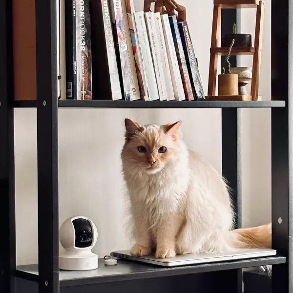 Kasa Indoor PanTilt Smart Security Camera 1080p HD DogCamera24GHz with Night VisionMotion Detection for Baby and Pet Monitor Cloud ampamp SD Card Storage Works with Alexaampamp Google Home EC70 WhiteWhite
