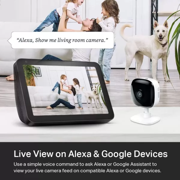 Kasa Smart Security Camera for Baby monitor 1080p HD IndoorCamera for Home Security with Motion Detection TwoWay Audio Night Vision Cloud ampamp SD Card Storage Works with Alexa ampamp Google Home EC60