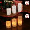 imageEldnacele Christmas Candy Cane Stripe Flameless Candles with Remote and Timer Battery Operated 3D Wick Flickering Real Wax Stripe Glitter Pillar LED Candles Holiday Xmas Decor 3Pcs D3H45quot6quot3Snowflake Decal
