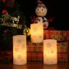 imageEldnacele Christmas Candy Cane Stripe Flameless Candles with Remote and Timer Battery Operated 3D Wick Flickering Real Wax Stripe Glitter Pillar LED Candles Holiday Xmas Decor 3Pcs D3H45quot6quot3Snowflake Decal