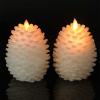 imageEldnacele Christmas Flameless Candles with 6 Hour Timer Battery Operated Hand Painted Pine Cone Real Wax 3D Wick Flickering LED Pillar Candles for Dinner Indoor Holiday Xmas Decor2Pcs D3H572White Pine Cone