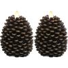 1-Brown Pine Cone