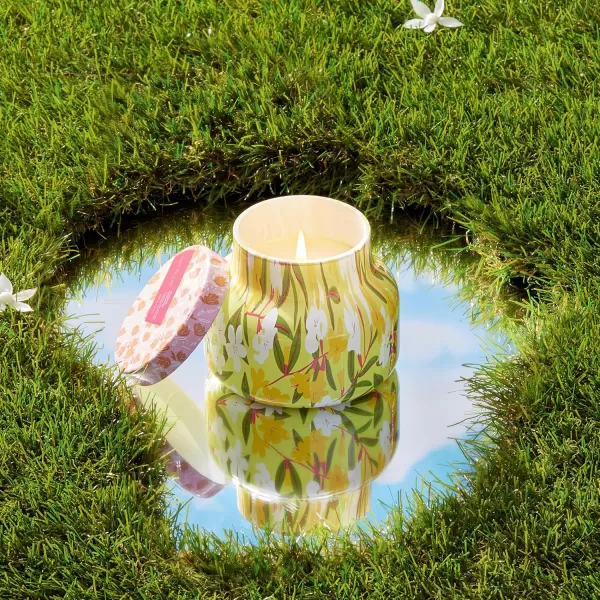 Capri Blue Aloha Orchid Pattern Play Petite Jar Candle  Luxury Soy Wax Blend Aloha Orchid Candle  LongBurning Cute Candle for Summer ampamp Fall Decor 8 oz