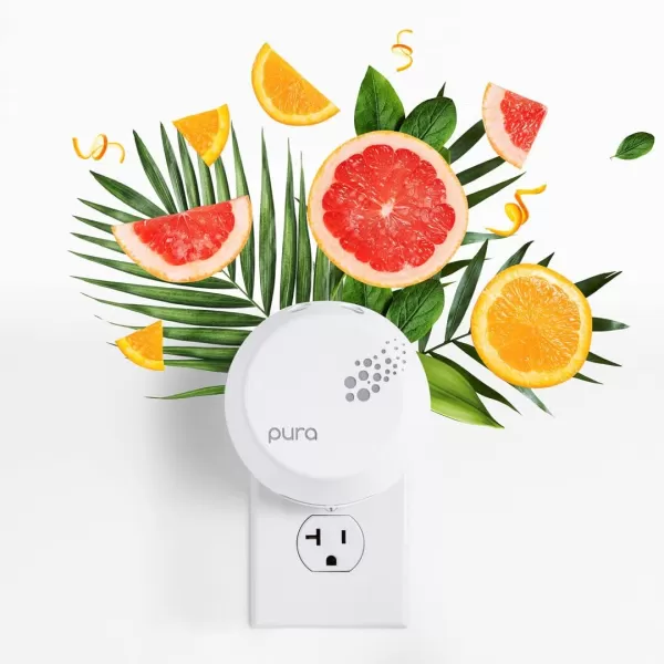 Capri Blue Pumpkin Dulce Pura Smart Home Plugin Diffuser Refills  Pura Diffuser with Refills Pumpkin Ginger ampamp Vanilla Scents  LongLasting Aromatherapy Diffuser RefillsPack of 2Volcano