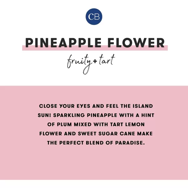 Capri Blue Pumpkin Dulce Pura Smart Home Plugin Diffuser Refills  Pura Diffuser with Refills Pumpkin Ginger ampamp Vanilla Scents  LongLasting Aromatherapy Diffuser RefillsPack of 2Pineapple Flower