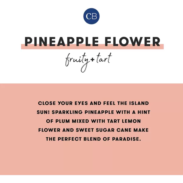Capri Blue Reed Diffuser  Comes with Aloha Orchid Scented Diffuser Oil Diffuser Sticks and Mercury Iridescent Glass Bottle  Aromatherapy Diffuser 57 fl ozPineapple Flower