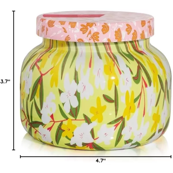 Capri Blue Volcano Candle  Pattern Play Signature Glass Jar Candle  Luxury Candle  Long Lasting Candles  Tropical Fruits ampamp Sugared Citrus Scented Candle  Decorative Candles for Home Decor 19 ozAloha Orchid