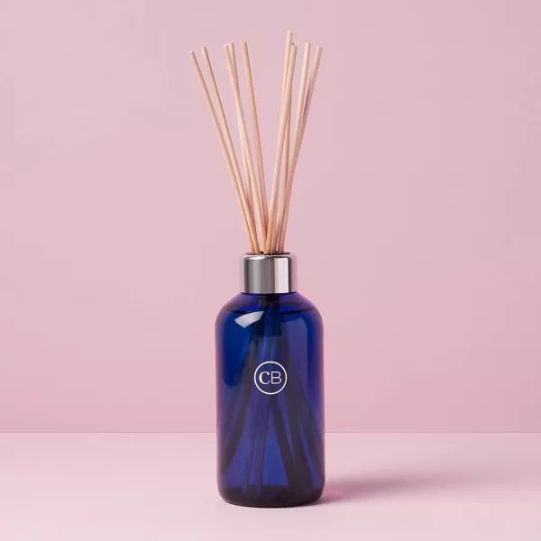 Capri Blue Reed Oil Diffuser  Comes with Diffuser Sticks Oil and Glass Bottle  Aromatherapy Diffuser  8 Fl Oz  Paris