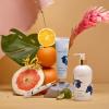 imageCapri Blue Volcano Hand Cream  2 Pack of Hand Creams  Skin Care Products 3 oz pack of 2