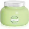 imageCapri Blue Volcano Scented Candles  Luxury Candles for Home Scented with Tropical Fruit ampamp Sugared Citrus  Long Lasting Soy Wax Blend  Petite Glass Jar Iced Matcha Green 8 ozIced Matcha Green