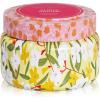 imageCapri Blue Scented Candles for Women ampamp Men  Pattern Play Travel Tin Small Candles  Soy Wax Blend  Luxury Home Decor with Notes of Orchid Jasmine Gardenia ampamp Floral Musk Aloha Orchid 85 oz