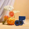 imageCapri Blue Pura Car Diffuser Refills  Use with Pura Car Air Fresheners  Car Accessories  2 Car Scent Diffuser Refills  Notes of Honeydew Grapefruit ampamp Apple Honeydew Crush 2 Pack Refills OnlyVolcano