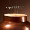 imageCapri Blue Autumn Glow Fall Candles  Soy Wax Blend Luxury Candles  Home Decor Gifts for Women ampamp Men  Notes of Tropical Fruits ampamp Sugared Citrus Volcano 19 ozChestnut Embers