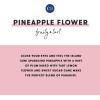 imageCapri Blue Pura Diffuser Refills  Luxury Home Fragrance  Long Lasting Oil Diffuser Scents with Notes of Brown Sugar Cinnamon ampamp Raspberry Cream Sugared Spice Twist Pack of 2 Pura RefillsPineapple Flower