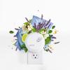 imageCapri Blue Pura Diffuser Refills  Luxury Home Fragrance  Long Lasting Oil Diffuser Scents with Notes of Brown Sugar Cinnamon ampamp Raspberry Cream Sugared Spice Twist Pack of 2 Pura RefillsBlue Jean