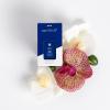 image:imageCapri Blue Pura Diffuser Refills  Luxury Home Fragrance  Long Lasting Oil Diffuser Scents with Notes of Mimosa Flower Grapefruit amp Violet Pink Grapefruit amp Prosecco Pack of 2 Pura RefillsAloha Orchid