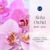 image:imageCapri Blue Pura Diffuser Refills  Luxury Home Fragrance  Long Lasting Oil Diffuser Scents with Notes of Mimosa Flower Grapefruit amp Violet Pink Grapefruit amp Prosecco Pack of 2 Pura RefillsAloha Orchid