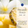 image:imageCapri Blue Pura Diffuser Refills  Luxury Home Fragrance  Long Lasting Oil Diffuser Scents with Notes of Mimosa Flower Grapefruit amp Violet Pink Grapefruit amp Prosecco Pack of 2 Pura RefillsPineapple Flower
