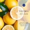image:imageCapri Blue Pura Diffuser Refills  Luxury Home Fragrance  Long Lasting Oil Diffuser Scents with Notes of Mimosa Flower Grapefruit amp Violet Pink Grapefruit amp Prosecco Pack of 2 Pura RefillsWild Citron