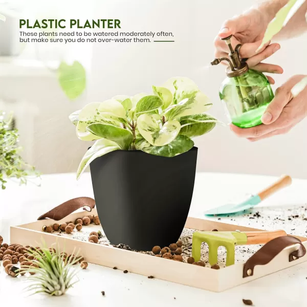 imageUtopia Home  Plant Pots Indoor with Drainage  76665348 Inches Home Decor Flower Pots for Indoor Planter  Pack of 10 Plastic Planters for Indoor Plants Cactus Succulents Pot  BrownBlack