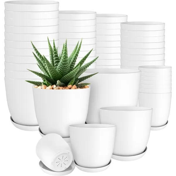 imageUtopia Home  Plant Pots Indoor with Drainage  76665348 Inches Home Decor Flower Pots for Indoor Planter  Pack of 10 Plastic Planters for Indoor Plants Cactus Succulents Pot  BrownWhite