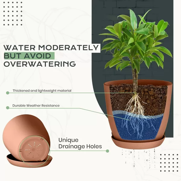 imageUtopia Home  Plant Pots Indoor with Drainage  76665348 Inches Home Decor Flower Pots for Indoor Planter  Pack of 10 Plastic Planters for Indoor Plants Cactus Succulents Pot  BrownTerracotta