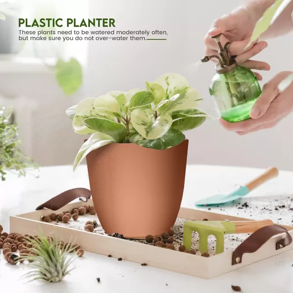 imageUtopia Home  Plant Pots Indoor with Drainage  76665348 Inches Home Decor Flower Pots for Indoor Planter  Pack of 10 Plastic Planters for Indoor Plants Cactus Succulents Pot  BrownTerracotta