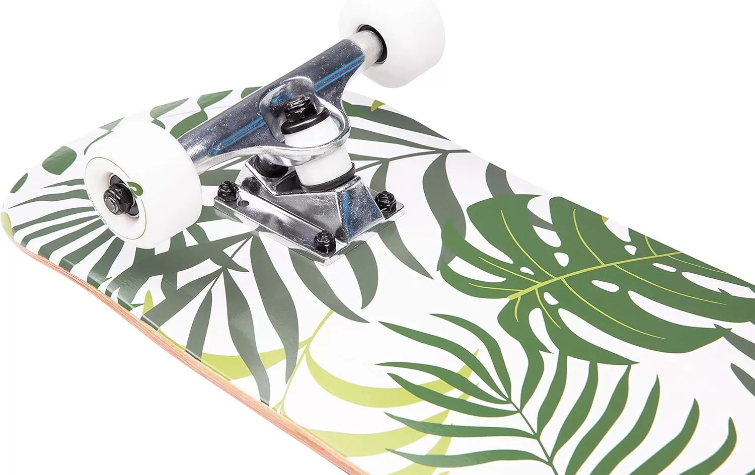 imageRetrospec Alameda Skateboard Complete  Canadian Maple Wood Deck w 55 Inch Aluminum Alloy Trucks for Commuting Cruising Carving ampamp Downhill RidingMalibu Palm