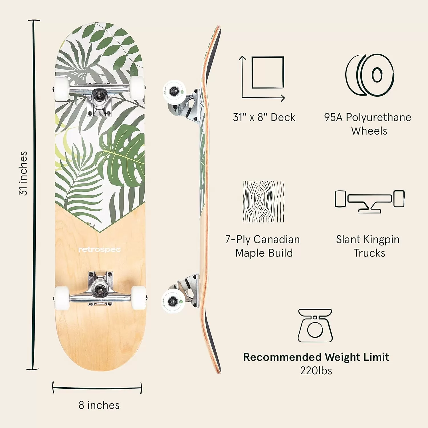 imageRetrospec Alameda Skateboard Complete  Canadian Maple Wood Deck w 55 Inch Aluminum Alloy Trucks for Commuting Cruising Carving ampamp Downhill RidingMalibu Palm