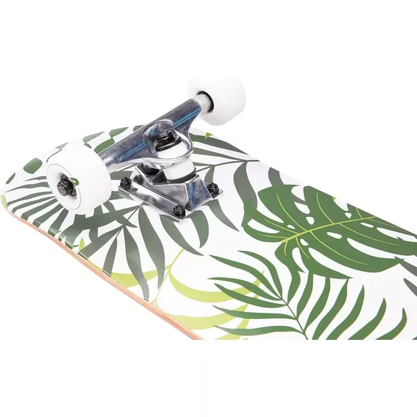 imageRetrospec Alameda Skateboard Complete  Canadian Maple Wood Deck w 55 Inch Aluminum Alloy Trucks for Commuting Cruising Carving ampamp Downhill RidingMalibu Palm