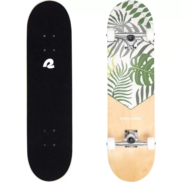 imageRetrospec Alameda Skateboard Complete  Canadian Maple Wood Deck w 55 Inch Aluminum Alloy Trucks for Commuting Cruising Carving ampamp Downhill RidingMalibu Palm
