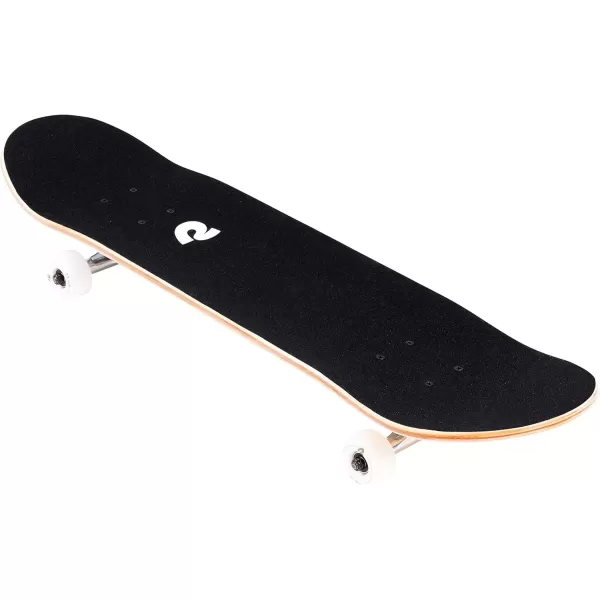 imageRetrospec Alameda Skateboard Complete  Canadian Maple Wood Deck w 55 Inch Aluminum Alloy Trucks for Commuting Cruising Carving ampamp Downhill RidingMalibu Palm