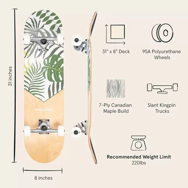 imageRetrospec Alameda Skateboard Complete  Canadian Maple Wood Deck w 55 Inch Aluminum Alloy Trucks for Commuting Cruising Carving ampamp Downhill RidingMalibu Palm