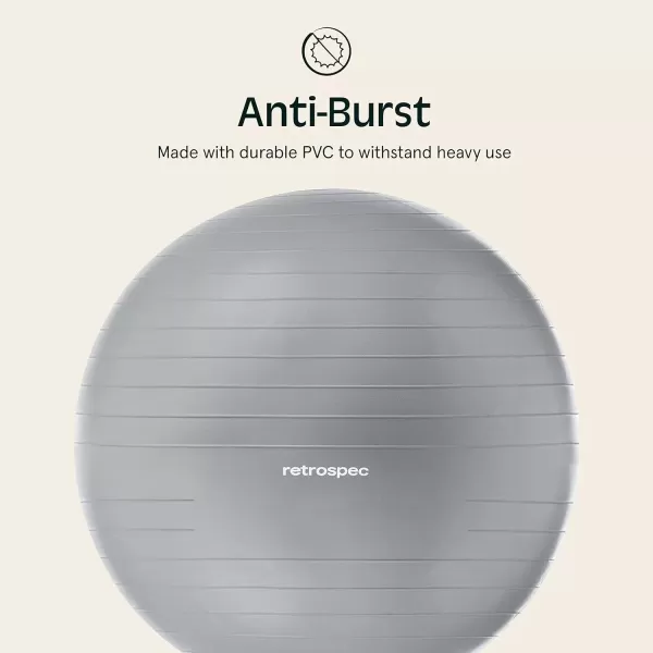 imageRetrospec Luna Exercise BallFossil Gray