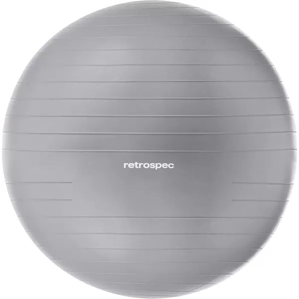 imageRetrospec Luna Exercise BallFossil Gray