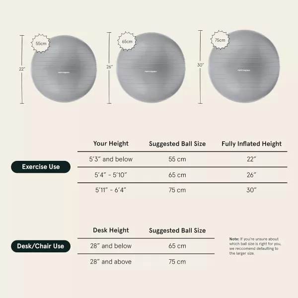 imageRetrospec Luna Exercise BallFossil Gray