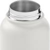 imageRetrospec Alder Insulated Water Bottle with Straw Lid ampamp Handle Cap  Stainless Steel Wide Mouth DoubleWall Vacuum Insulated Thermos  BPA Free Leakproof CanteenAbalone