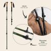 imageRetrospec Solstice Hiking Poles for Men ampamp Women  Adjustable and Collapsible Lightweight Walking ampamp Trekking Sticks  Aluminum wCork or Foam GripMatte Forest