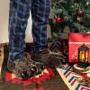 imageULTRAIDEAS Animal Paw Slippers for Women and Men Funny Claw Slippers for Adult and Kids Unisex Cute Costume House ShoesBrown Bear Paw