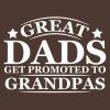 imageGreat Dads Get Promoted to Grandpas Humor Sarcasm Funny T ShirtGarnet