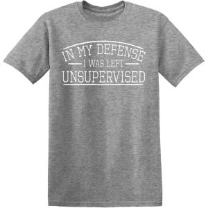 imagein My Defense I was Left Unsupervised Novelty Gag Gift Funny T Shirt for AnyoneHeather Grey