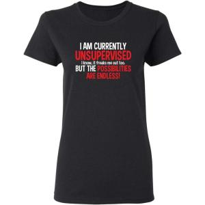 imagePossibilities Endless Sarcastic Graphic Novelty Womens Cool Funny T ShirtBlack