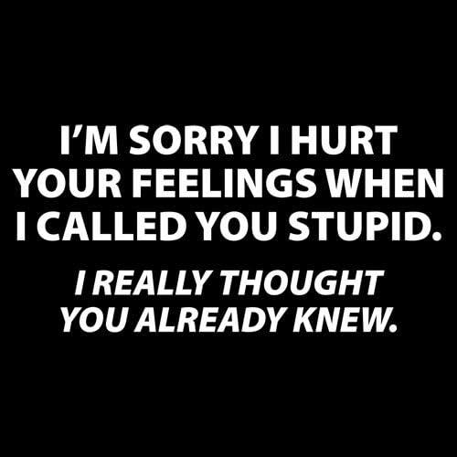imageYou Stupid I Thought You Knew Humor Graphic Novelty Sarcastic Funny T ShirtMilitary