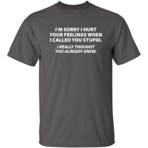 imageYou Stupid I Thought You Knew Humor Graphic Novelty Sarcastic Funny T ShirtCharcoal